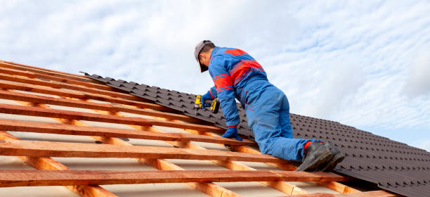 Best Skylight Installation and Repair  in Flora Vista, NM